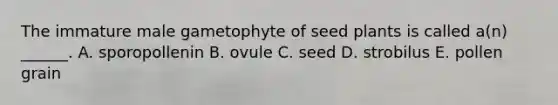 The immature male gametophyte of seed plants is called a(n) ______. A. sporopollenin B. ovule C. seed D. strobilus E. pollen grain