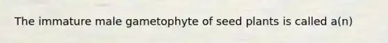 ​The immature male gametophyte of seed plants is called a(n)