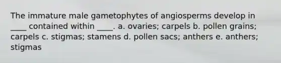 The immature male gametophytes of angiosperms develop in ____ contained within ____. a. ovaries; carpels b. pollen grains; carpels c. stigmas; stamens d. pollen sacs; anthers e. anthers; stigmas