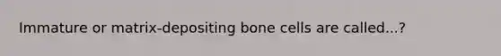 Immature or matrix-depositing bone cells are called...?