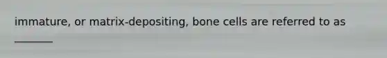 immature, or matrix-depositing, bone cells are referred to as _______