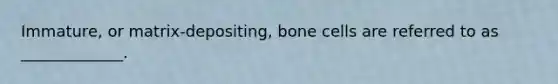 Immature, or matrix-depositing, bone cells are referred to as _____________.