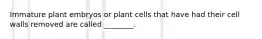 Immature plant embryos or plant cells that have had their cell walls removed are called ________.