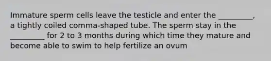 Immature sperm cells leave the testicle and enter the _________, a tightly coiled comma-shaped tube. The sperm stay in the _________ for 2 to 3 months during which time they mature and become able to swim to help fertilize an ovum