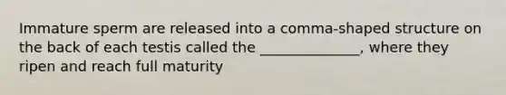 Immature sperm are released into a comma-shaped structure on the back of each testis called the ______________, where they ripen and reach full maturity