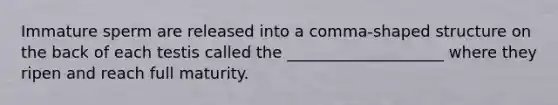 Immature sperm are released into a comma-shaped structure on the back of each testis called the ____________________ where they ripen and reach full maturity.