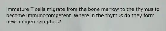 Immature T cells migrate from the bone marrow to the thymus to become immunocompetent. Where in the thymus do they form new antigen receptors?