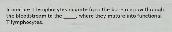 Immature T lymphocytes migrate from the bone marrow through the bloodstream to the _____, where they mature into functional T lymphocytes.