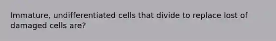 Immature, undifferentiated cells that divide to replace lost of damaged cells are?