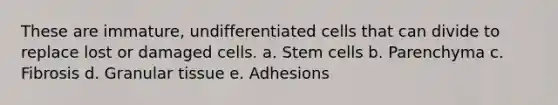 These are immature, undifferentiated cells that can divide to replace lost or damaged cells. a. Stem cells b. Parenchyma c. Fibrosis d. Granular tissue e. Adhesions