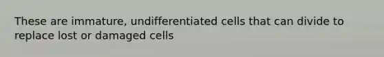 These are immature, undifferentiated cells that can divide to replace lost or damaged cells