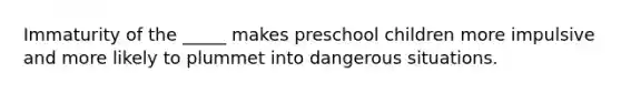 Immaturity of the _____ makes preschool children more impulsive and more likely to plummet into dangerous situations.