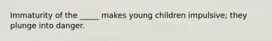 Immaturity of the _____ makes young children impulsive; they plunge into danger.