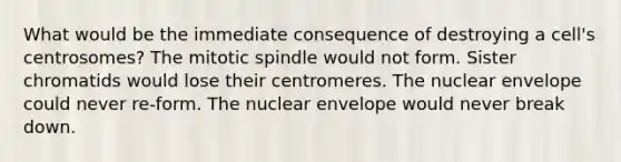 What would be the immediate consequence of destroying a cell's centrosomes? The mitotic spindle would not form. Sister chromatids would lose their centromeres. The nuclear envelope could never re-form. The nuclear envelope would never break down.