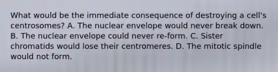 What would be the immediate consequence of destroying a cell's centrosomes? A. The nuclear envelope would never break down. B. The nuclear envelope could never re-form. C. Sister chromatids would lose their centromeres. D. The mitotic spindle would not form.