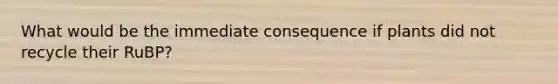 What would be the immediate consequence if plants did not recycle their RuBP?