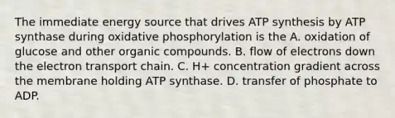 The immediate energy source that drives <a href='https://www.questionai.com/knowledge/kx3XpCJrFz-atp-synthesis' class='anchor-knowledge'>atp synthesis</a> by ATP synthase during <a href='https://www.questionai.com/knowledge/kFazUb9IwO-oxidative-phosphorylation' class='anchor-knowledge'>oxidative phosphorylation</a> is the A. oxidation of glucose and other organic compounds. B. flow of electrons down <a href='https://www.questionai.com/knowledge/k57oGBr0HP-the-electron-transport-chain' class='anchor-knowledge'>the electron transport chain</a>. C. H+ concentration gradient across the membrane holding ATP synthase. D. transfer of phosphate to ADP.