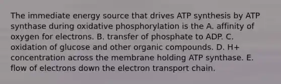 The immediate energy source that drives <a href='https://www.questionai.com/knowledge/kx3XpCJrFz-atp-synthesis' class='anchor-knowledge'>atp synthesis</a> by ATP synthase during <a href='https://www.questionai.com/knowledge/kFazUb9IwO-oxidative-phosphorylation' class='anchor-knowledge'>oxidative phosphorylation</a> is the A. affinity of oxygen for electrons. B. transfer of phosphate to ADP. C. oxidation of glucose and other organic compounds. D. H+ concentration across the membrane holding ATP synthase. E. flow of electrons down <a href='https://www.questionai.com/knowledge/k57oGBr0HP-the-electron-transport-chain' class='anchor-knowledge'>the electron transport chain</a>.