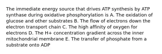 The immediate energy source that drives ATP synthesis by ATP synthase during oxidative phosphorylation is A. The oxidation of glucose and other substrates B. The flow of electrons down the electron transport chain C. The high affinity of oxygen for electrons D. The H+ concentration gradient across the inner mitochondrial membrane E. The transfer of phosphate from a substrate onto ADP