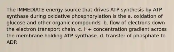 The IMMEDIATE energy source that drives ATP synthesis by ATP synthase during oxidative phosphorylation is the a. oxidation of glucose and other organic compounds. b. flow of electrons down the electron transport chain. c. H+ concentration gradient across the membrane holding ATP synthase. d. transfer of phosphate to ADP.