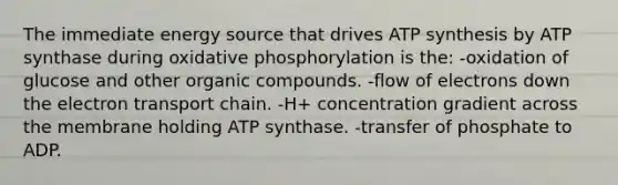 The immediate energy source that drives <a href='https://www.questionai.com/knowledge/kx3XpCJrFz-atp-synthesis' class='anchor-knowledge'>atp synthesis</a> by ATP synthase during <a href='https://www.questionai.com/knowledge/kFazUb9IwO-oxidative-phosphorylation' class='anchor-knowledge'>oxidative phosphorylation</a> is the: -oxidation of glucose and other organic compounds. -flow of electrons down <a href='https://www.questionai.com/knowledge/k57oGBr0HP-the-electron-transport-chain' class='anchor-knowledge'>the electron transport chain</a>. -H+ concentration gradient across the membrane holding ATP synthase. -transfer of phosphate to ADP.