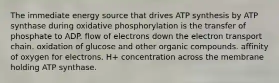 The immediate energy source that drives ATP synthesis by ATP synthase during oxidative phosphorylation is the transfer of phosphate to ADP. flow of electrons down the electron transport chain. oxidation of glucose and other organic compounds. affinity of oxygen for electrons. H+ concentration across the membrane holding ATP synthase.