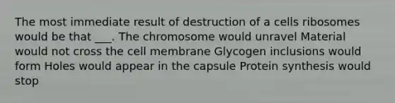 The most immediate result of destruction of a cells ribosomes would be that ___. The chromosome would unravel Material would not cross the cell membrane Glycogen inclusions would form Holes would appear in the capsule Protein synthesis would stop