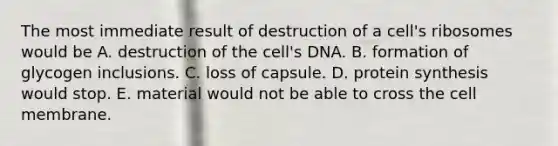 The most immediate result of destruction of a cell's ribosomes would be A. destruction of the cell's DNA. B. formation of glycogen inclusions. C. loss of capsule. D. protein synthesis would stop. E. material would not be able to cross the cell membrane.