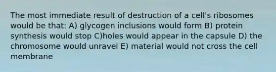 The most immediate result of destruction of a cell's ribosomes would be that: A) glycogen inclusions would form B) protein synthesis would stop C)holes would appear in the capsule D) the chromosome would unravel E) material would not cross the cell membrane