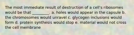 The most immediate result of destruction of a cell's ribosomes would be that _________. a. holes would appear in the capsule b. the chromosomes would unravel c. glycogen inclusions would form d. protein synthesis would stop e. material would not cross the cell membrane