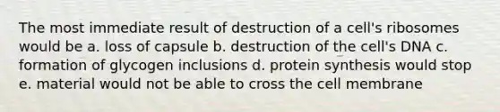 The most immediate result of destruction of a cell's ribosomes would be a. loss of capsule b. destruction of the cell's DNA c. formation of glycogen inclusions d. protein synthesis would stop e. material would not be able to cross the cell membrane