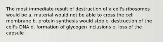 The most immediate result of destruction of a cell's ribosomes would be a. material would not be able to cross the cell membrane b. <a href='https://www.questionai.com/knowledge/kVyphSdCnD-protein-synthesis' class='anchor-knowledge'>protein synthesis</a> would stop c. destruction of the cell's DNA d. formation of glycogen inclusions e. loss of the capsule