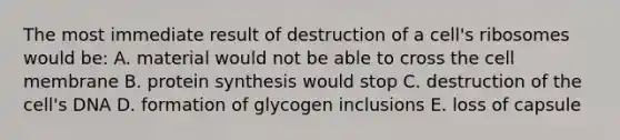 The most immediate result of destruction of a cell's ribosomes would be: A. material would not be able to cross the cell membrane B. protein synthesis would stop C. destruction of the cell's DNA D. formation of glycogen inclusions E. loss of capsule