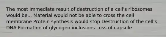 The most immediate result of destruction of a cell's ribosomes would be... Material would not be able to cross the cell membrane Protein synthesis would stop Destruction of the cell's DNA Formation of glycogen inclusions Loss of capsule