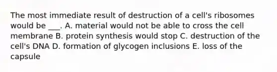 The most immediate result of destruction of a cell's ribosomes would be ___. A. material would not be able to cross the cell membrane B. <a href='https://www.questionai.com/knowledge/kVyphSdCnD-protein-synthesis' class='anchor-knowledge'>protein synthesis</a> would stop C. destruction of the cell's DNA D. formation of glycogen inclusions E. loss of the capsule