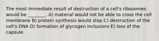 The most immediate result of destruction of a cell's ribosomes would be ________. A) material would not be able to cross the cell membrane B) protein synthesis would stop C) destruction of the cell's DNA D) formation of glycogen inclusions E) loss of the capsule