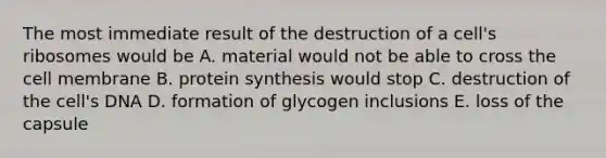 The most immediate result of the destruction of a cell's ribosomes would be A. material would not be able to cross the cell membrane B. protein synthesis would stop C. destruction of the cell's DNA D. formation of glycogen inclusions E. loss of the capsule