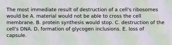 The most immediate result of destruction of a cell's ribosomes would be A. material would not be able to cross the cell membrane. B. protein synthesis would stop. C. destruction of the cell's DNA. D. formation of glycogen inclusions. E. loss of capsule.