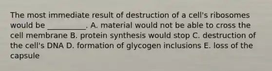 The most immediate result of destruction of a cell's ribosomes would be __________. A. material would not be able to cross the cell membrane B. protein synthesis would stop C. destruction of the cell's DNA D. formation of glycogen inclusions E. loss of the capsule