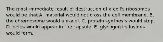 The most immediate result of destruction of a cell's ribosomes would be that A. material would not cross the cell membrane. B. the chromosome would unravel. C. protein synthesis would stop. D. holes would appear in the capsule. E. glycogen inclusions would form.