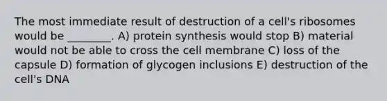 The most immediate result of destruction of a cell's ribosomes would be ________. A) protein synthesis would stop B) material would not be able to cross the cell membrane C) loss of the capsule D) formation of glycogen inclusions E) destruction of the cell's DNA