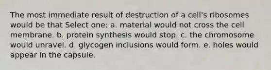 The most immediate result of destruction of a cell's ribosomes would be that Select one: a. material would not cross the cell membrane. b. protein synthesis would stop. c. the chromosome would unravel. d. glycogen inclusions would form. e. holes would appear in the capsule.