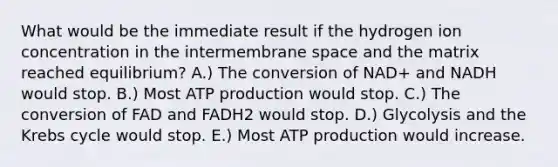 What would be the immediate result if the hydrogen ion concentration in the intermembrane space and the matrix reached equilibrium? A.) The conversion of NAD+ and NADH would stop. B.) Most ATP production would stop. C.) The conversion of FAD and FADH2 would stop. D.) Glycolysis and the Krebs cycle would stop. E.) Most ATP production would increase.