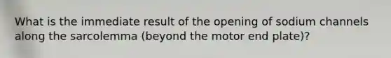 What is the immediate result of the opening of sodium channels along the sarcolemma (beyond the motor end plate)?