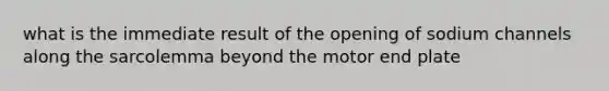 what is the immediate result of the opening of sodium channels along the sarcolemma beyond the motor end plate