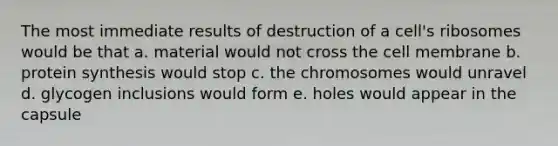 The most immediate results of destruction of a cell's ribosomes would be that a. material would not cross the cell membrane b. protein synthesis would stop c. the chromosomes would unravel d. glycogen inclusions would form e. holes would appear in the capsule