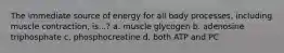 The immediate source of energy for all body processes, including muscle contraction, is...? a. muscle glycogen b. adenosine triphosphate c. phosphocreatine d. both ATP and PC