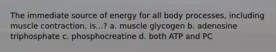 The immediate source of energy for all body processes, including muscle contraction, is...? a. muscle glycogen b. adenosine triphosphate c. phosphocreatine d. both ATP and PC