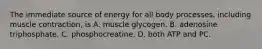 The immediate source of energy for all body processes, including muscle contraction, is A. muscle glycogen. B. adenosine triphosphate. C. phosphocreatine. D. both ATP and PC.