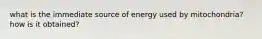 what is the immediate source of energy used by mitochondria? how is it obtained?